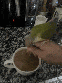 Daily Gifdump [WEEKEND EDITION]