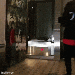 Daily Gifdump [WEEKEND EDITION]