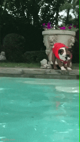 Daily Gifdump [WEEKEND EDITION]