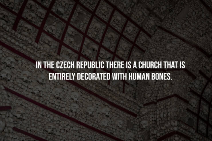 Creepy Facts That Will Keep You Up at Night