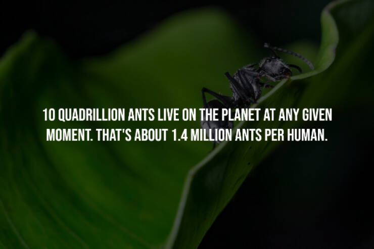 Creepy Facts That Will Keep You Up at Night