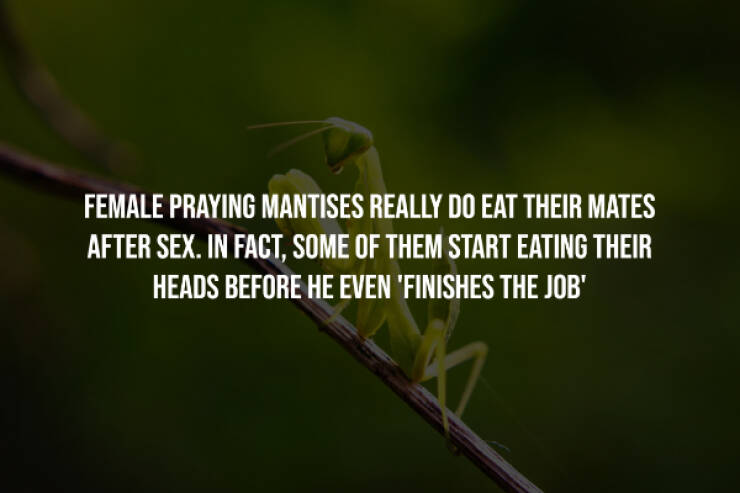 Creepy Facts That Will Keep You Up at Night