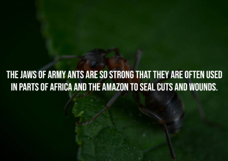 Creepy Facts That Will Keep You Up at Night