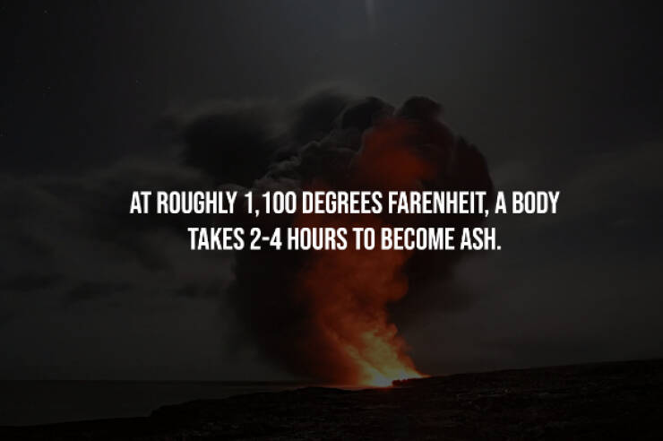 Creepy Facts That Will Keep You Up at Night