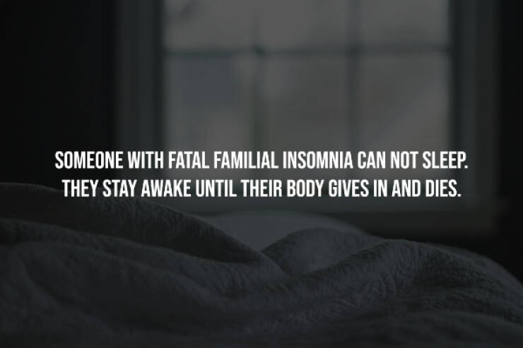 Creepy Facts That Will Keep You Up at Night