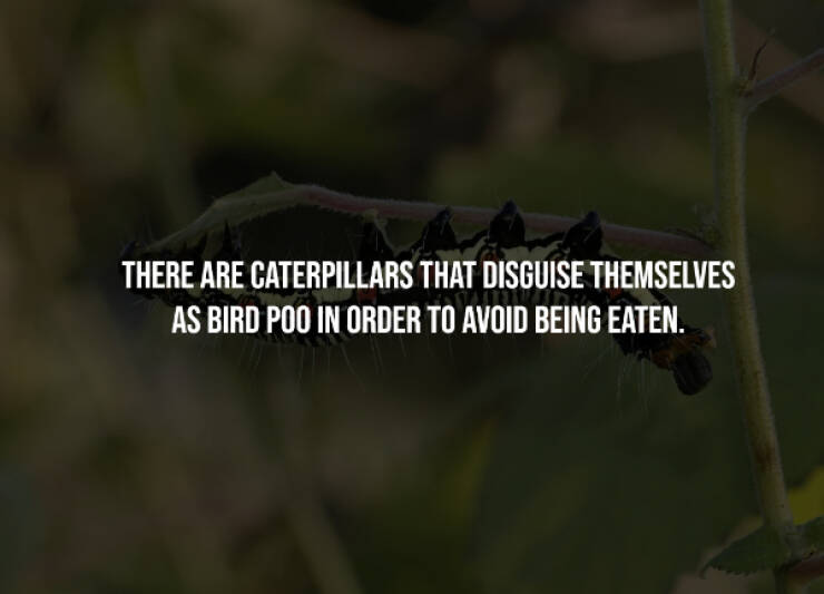 Creepy Facts That Will Keep You Up at Night