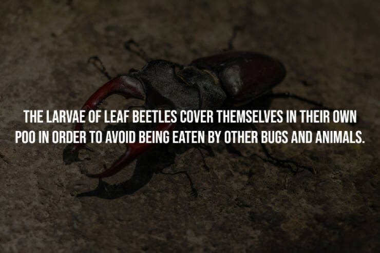 Creepy Facts That Will Keep You Up at Night