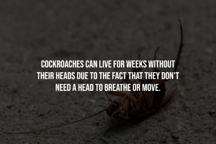 Creepy Facts That Will Keep You Up at Night