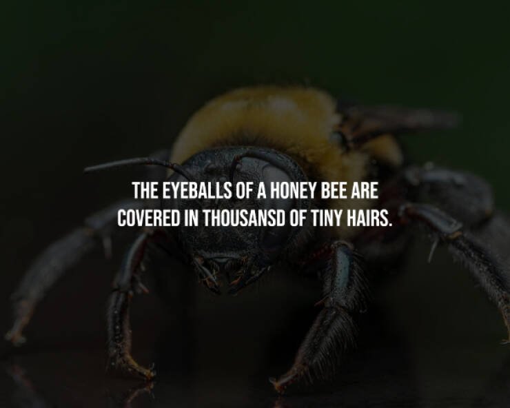 Creepy Facts That Will Keep You Up at Night