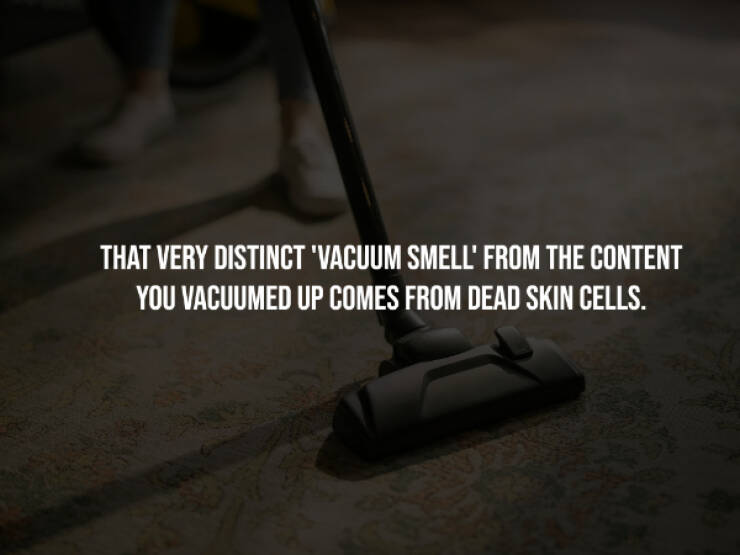 Creepy Facts That Will Keep You Up at Night