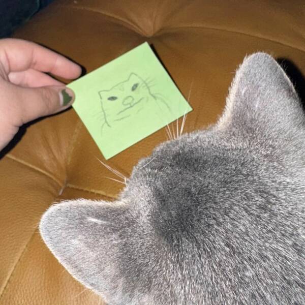 Daily Picdump Daily Picdump