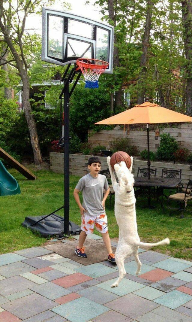 Daily Picdump Daily Picdump