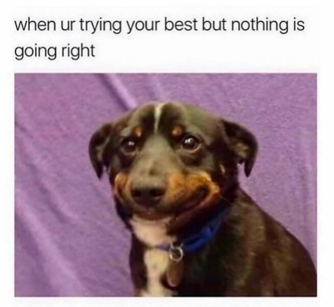 Funny Picdump Funny Picdump