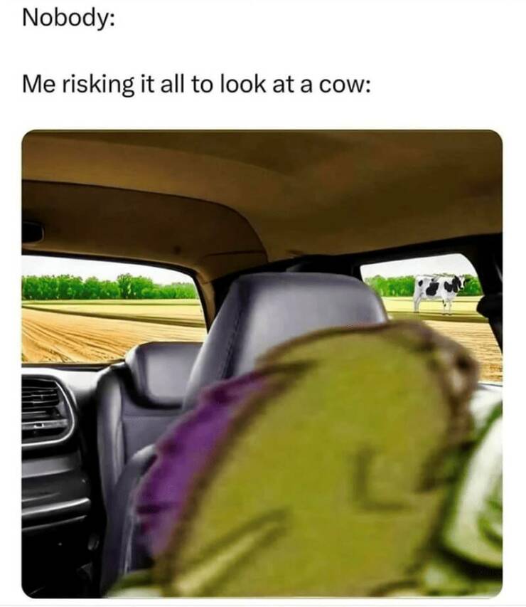 Funny Picdump Funny Picdump