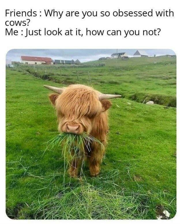 Funny Picdump Funny Picdump