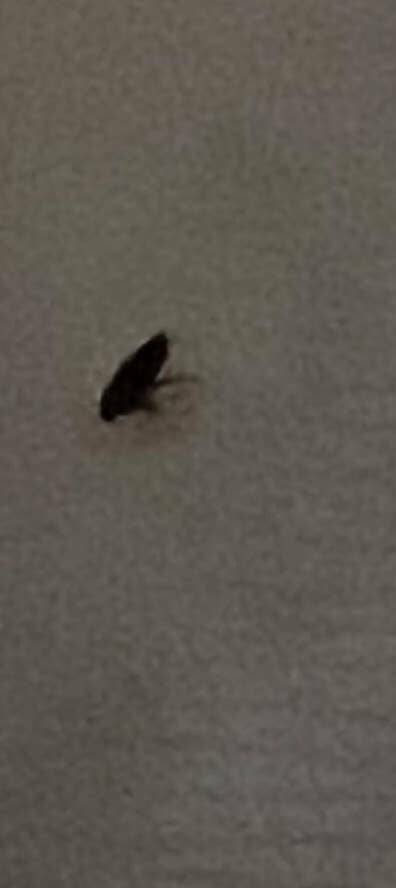 Shocking Rental & Housing Scams