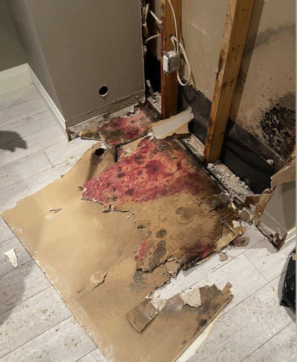 Shocking Rental & Housing Scams