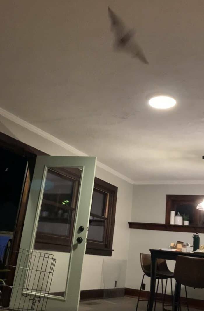 Shocking Rental & Housing Scams