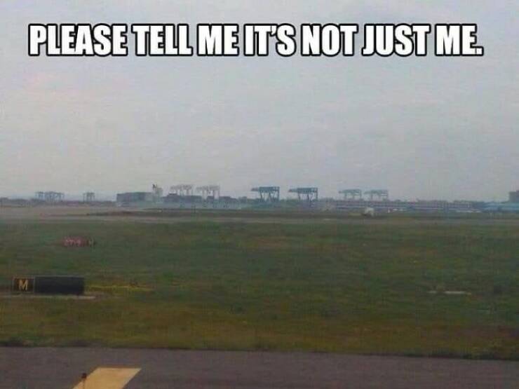 The Strangest Memes On The Internet Right Now