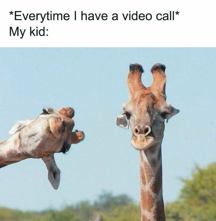 The Strangest Memes On The Internet Right Now