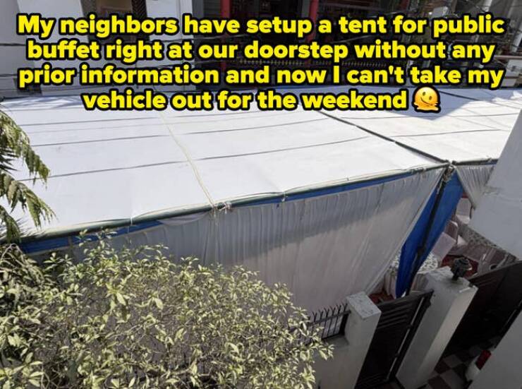 When Self-Importance Goes Too Far