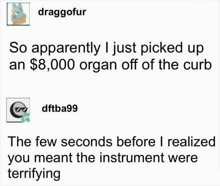 Your Daily Laugh Fix