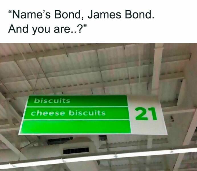 Your Daily Laugh Fix