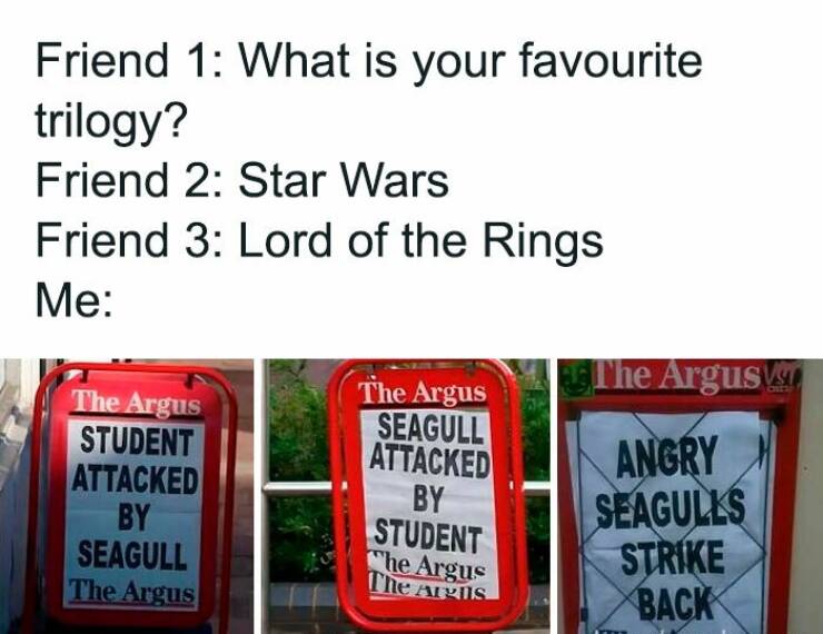 Your Daily Laugh Fix