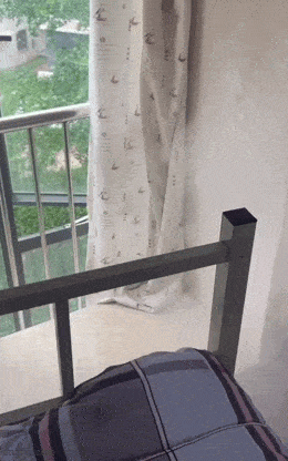 Daily Gifdump