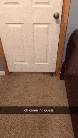 Daily Gifdump