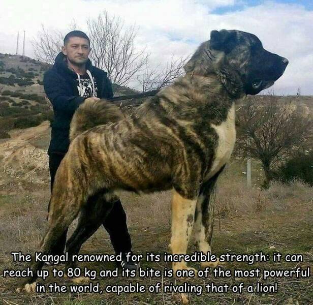 Morning Picdump Morning Picdump