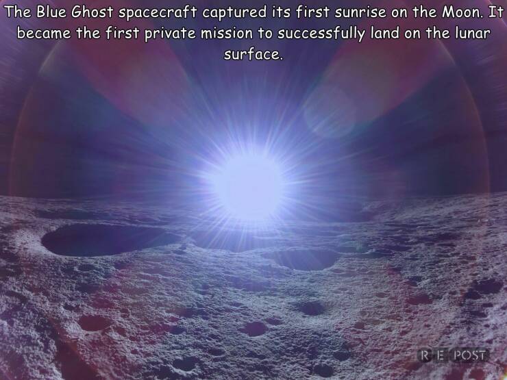 Morning Picdump Morning Picdump