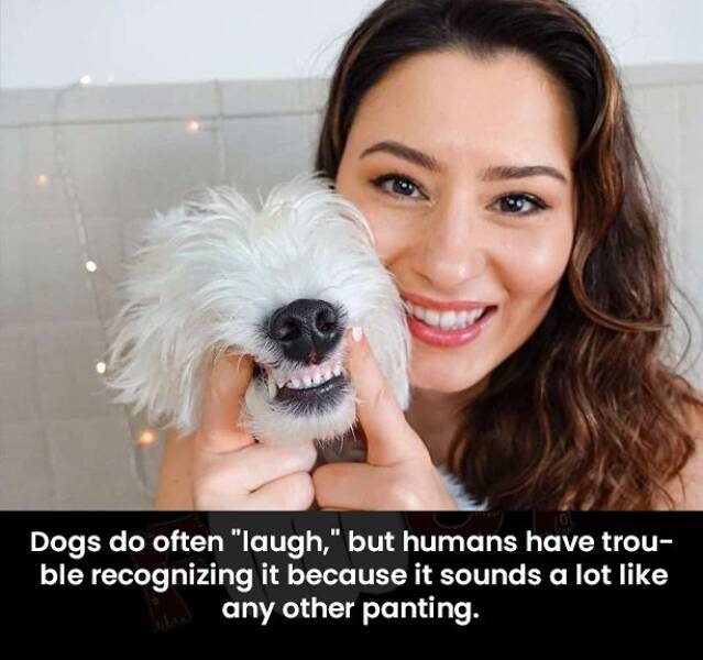 Morning Picdump Morning Picdump