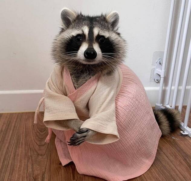 Morning Picdump Morning Picdump