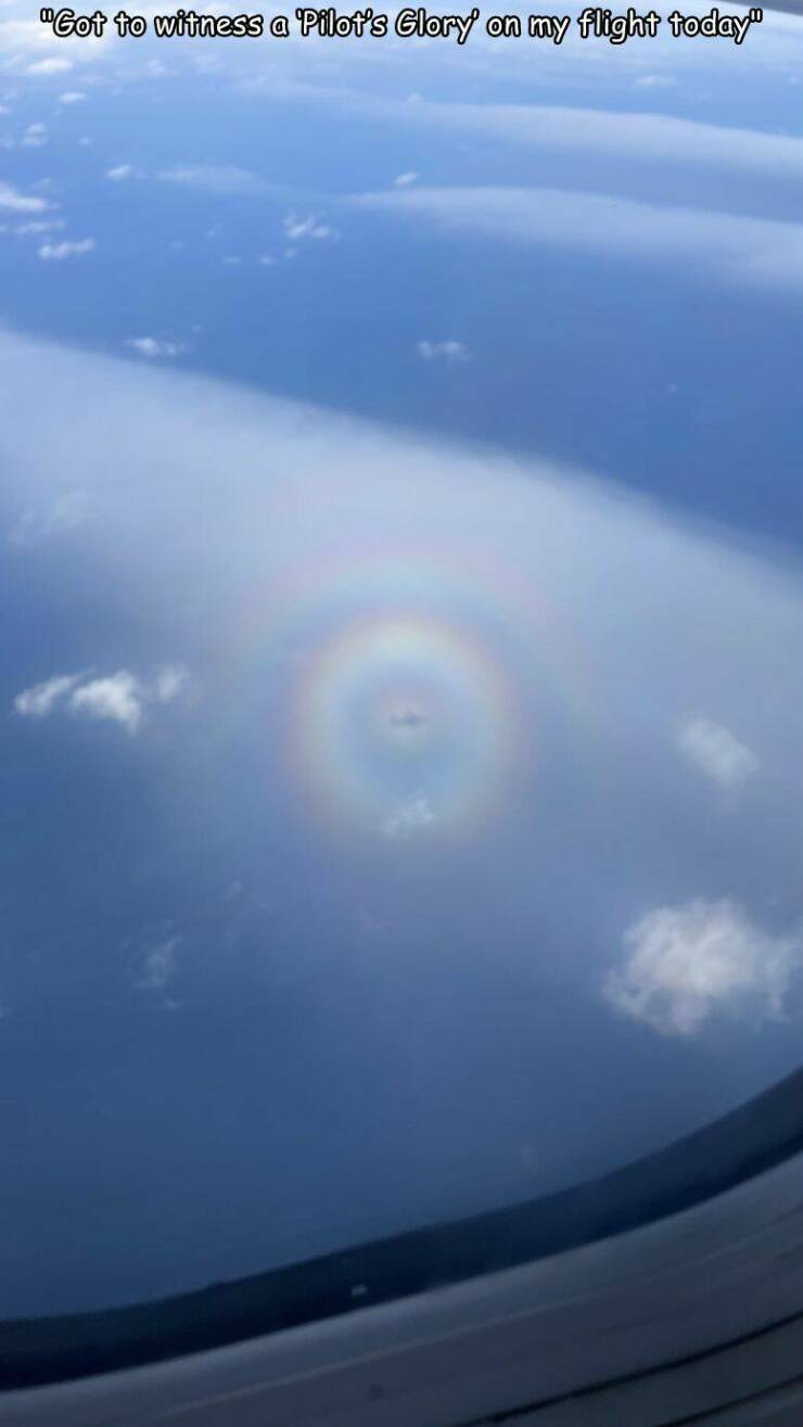 Morning Picdump Morning Picdump