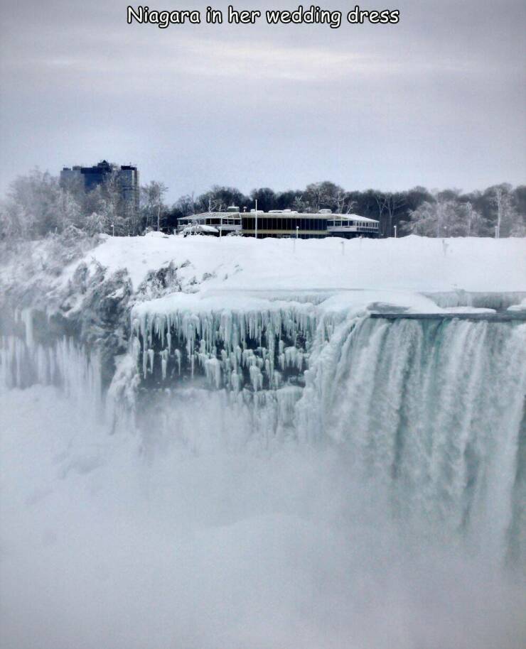 Morning Picdump Morning Picdump