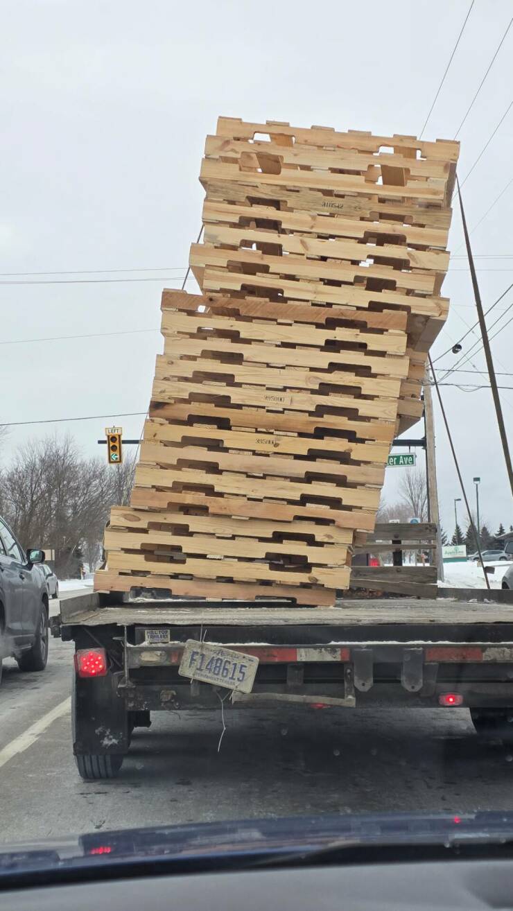 Morning Picdump Morning Picdump