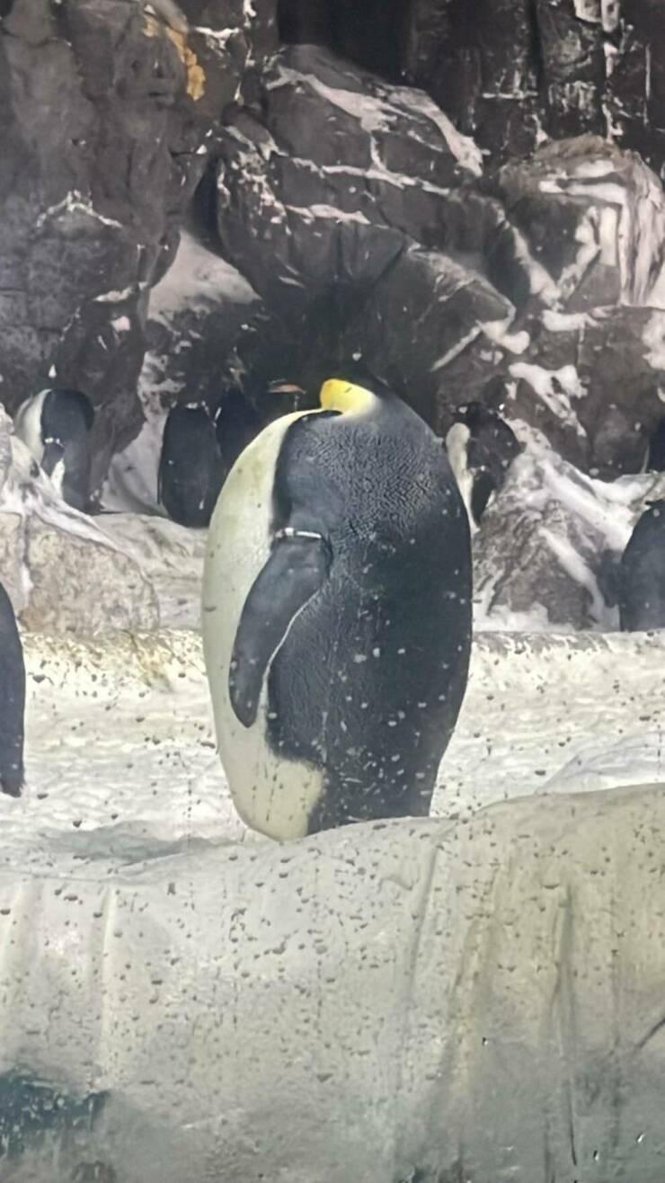 Morning Picdump Morning Picdump