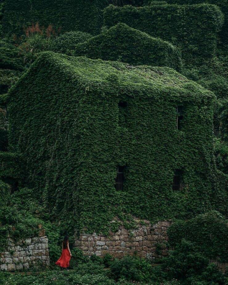 Morning Picdump Morning Picdump