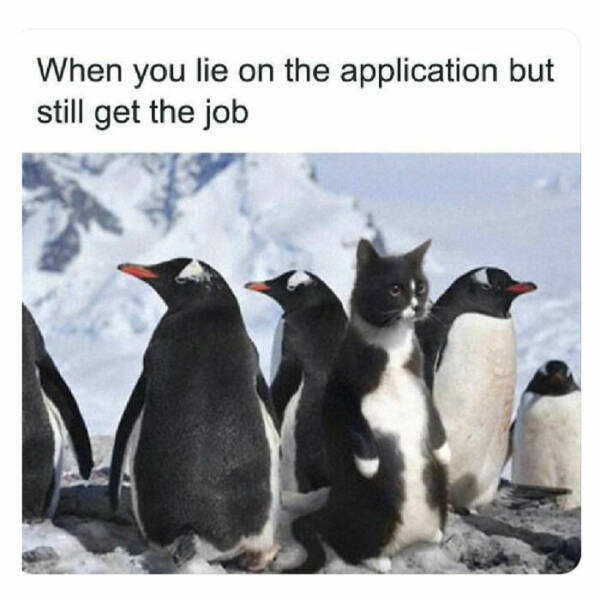 Scroll, Laugh, Repeat