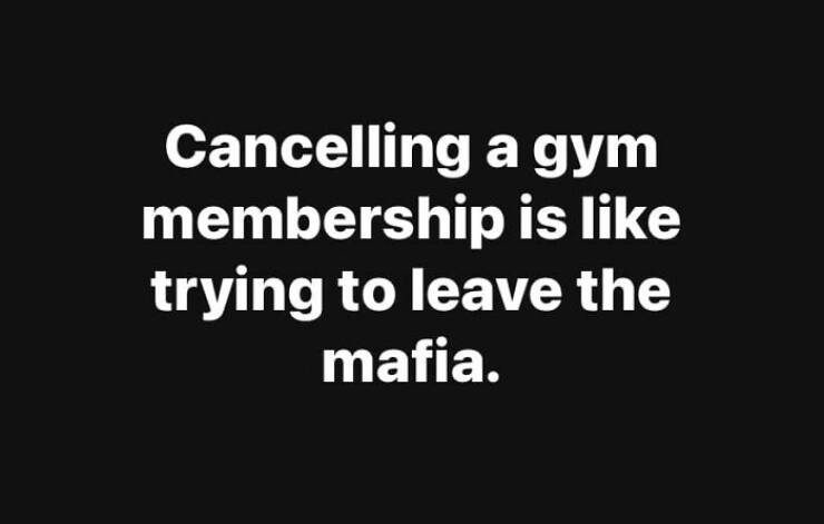 Scroll, Laugh, Repeat