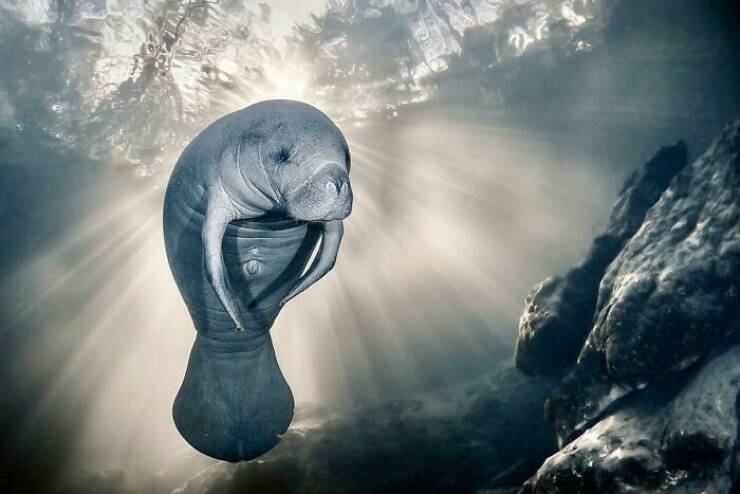 When Nature Stole The Show