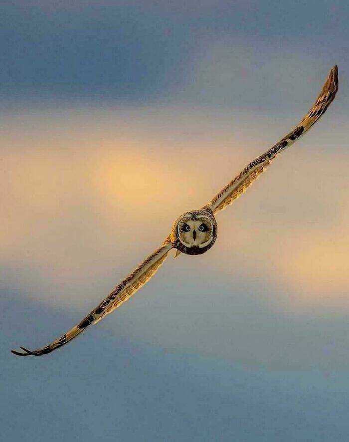 When Nature Stole The Show