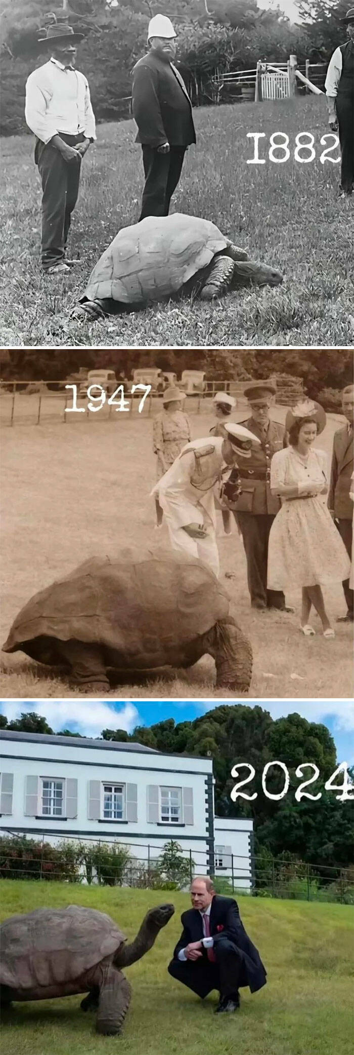 When Nature Stole The Show