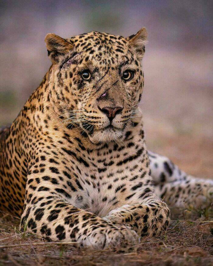 When Nature Stole The Show