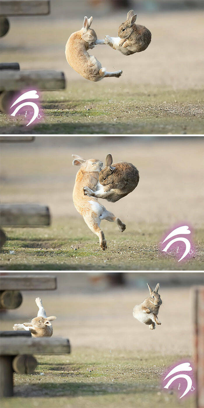 When Nature Stole The Show When Nature Stole The Show