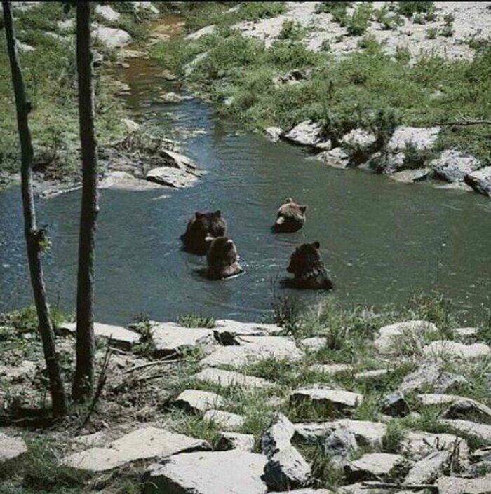 When Nature Stole The Show When Nature Stole The Show