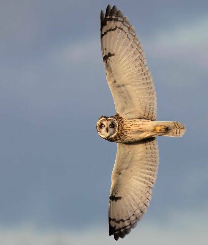 When Nature Stole The Show When Nature Stole The Show