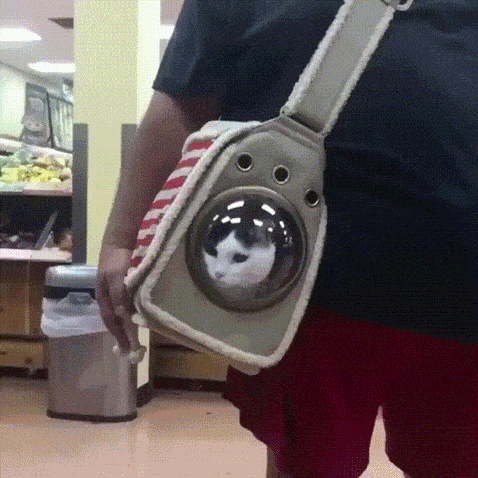 Daily Gifdump Daily Gifdump