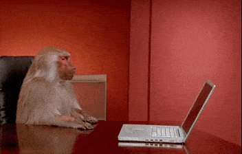 Daily Gifdump Daily Gifdump